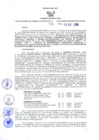 Vista preliminar de documento Resolución Dirección General de Construcciones 335-2018-Dirección General de Construcción - DGC