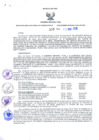Vista preliminar de documento Resolución Dirección General de Construcciones 309-2018-Dirección General de Construcción - DGC