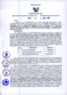 Vista preliminar de documento Resolución Dirección General de Construcciones 301-2018-Dirección General de Construcción - DGC