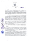 Vista preliminar de documento Resolución Dirección General de Construcciones 244-2018-Dirección General de Construcción - DGC