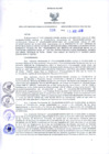 Vista preliminar de documento Resolución Dirección General de Construcciones 236-2018-Dirección General de Construcción - DGC