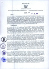 Vista preliminar de documento Resolución Dirección General de Construcciones 217-2018-Dirección General de Construcción - DGC