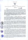 Vista preliminar de documento Resolución Dirección General de Construcciones 218-2018-Dirección General de Construcción - DGC