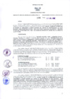 Vista preliminar de documento Resolución Dirección General de Construcciones 196-2018-Dirección General de Construcción - DGC