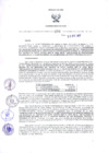 Vista preliminar de documento Resolución Dirección General de Construcciones 294-2017-Dirección General de Construcción - DGC