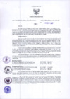 Vista preliminar de documento Resolución Dirección General de Construcciones 248-2017-Dirección General de Construcción - DGC
