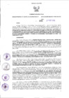 Vista preliminar de documento Resolución Dirección General de Construcciones 195-2017-Dirección General de Construcción - DGC