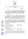 Vista preliminar de documento Resolución Dirección General de Construcciones 185-2017-Dirección General de Construcción - DGC