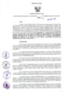 Vista preliminar de documento Resolución Dirección General de Construcciones 181-2017-Dirección General de Construcción - DGC