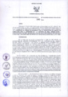 Vista preliminar de documento Resolución Dirección General de Construcciones 141-2017-Dirección General de Construcción - DGC