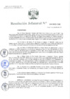 Vista preliminar de documento Resolución Jefatural 246 - 2022.pdf