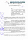 Vista preliminar de documento RDR N°382-2022.pdf