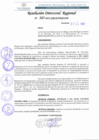 Vista preliminar de documento RDR N°385-2022.pdf