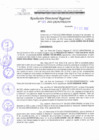 Vista preliminar de documento RDR N°388-2022.pdf