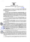 Vista preliminar de documento RESOLUCION GERENCIAL SUB REGIONAL Nº 256.pdf