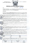 Vista preliminar de documento RD N°390-2022-DG-HMA.pdf