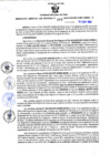 Vista preliminar de documento RESOLUCION GERENCIAL SUB REGIONAL Nº 265.pdf