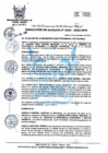 Vista preliminar de documento R.A 333.pdf