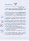 Vista preliminar de documento Resolución Dirección General de Construcciones 230-2010-Dirección General de Construcción - DGC