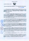 Vista preliminar de documento Resolución Dirección General de Construcciones 178-2010-Dirección General de Construcción - DGC