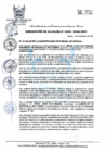 Vista preliminar de documento R.A 356.pdf