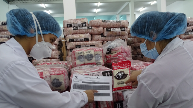 Servicio alimentario escolar