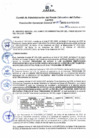 Vista preliminar de documento Resolución de Gerencia General