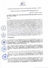 Vista preliminar de documento Resolución de Gerencia General