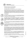 Vista preliminar de documento 0029-2022-MDSJL