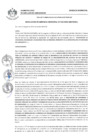 Vista preliminar de documento 0240-2022-MDSJL