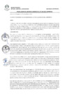 Vista preliminar de documento 0304-2022-MDSJL