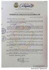 Vista preliminar de documento Acuerdo de Concejo N° 053-2019-MDCC.pdf
