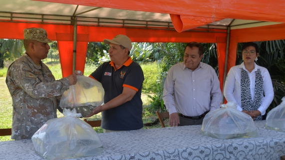 ALEVINOS Y SAL