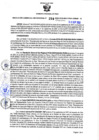 Vista preliminar de documento RESOLUCION GERENCIAL SUB REGIONAL Nº 294.pdf