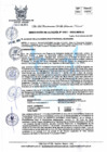 Vista preliminar de documento R.A 381.pdf