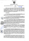 Vista preliminar de documento RGSR Nº 305.pdf