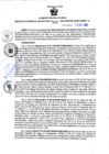 Vista preliminar de documento RGSR Nº 306.pdf