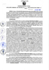 Vista preliminar de documento RGSR Nº 307.pdf