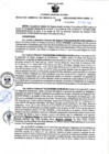 Vista preliminar de documento RGSR Nº 309.pdf