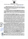 Vista preliminar de documento RGSR Nº 310.pdf