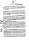 Vista preliminar de documento RGSR Nº 311.pdf