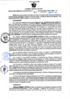 Vista preliminar de documento RGSR Nº 313.pdf