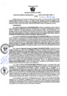 Vista preliminar de documento RGSR Nº 315.pdf
