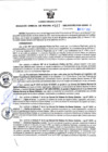 Vista preliminar de documento RGSR Nº 317.pdf