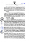 Vista preliminar de documento RGSR Nº 321.pdf