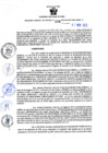 Vista preliminar de documento RGSR Nº 334.pdf