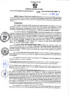Vista preliminar de documento RGSR Nº 345.pdf