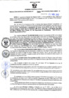 Vista preliminar de documento RGSR Nº 349.pdf