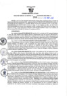 Vista preliminar de documento RGSR Nº 358.pdf
