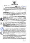 Vista preliminar de documento RGSR Nº 366.pdf